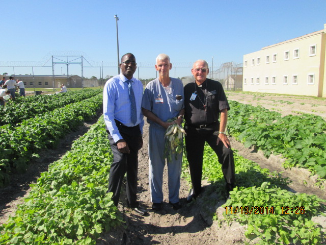 Prison official, inmate, and minister posing amidst crops that have been planted as part of the ministry farm program.