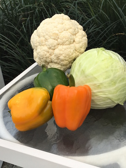 Group of vegetables (Cauliflower, lettuce head, and green, orange, and yellow peppers.